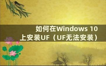 如何在Windows 10上安装UF（UF无法安装）